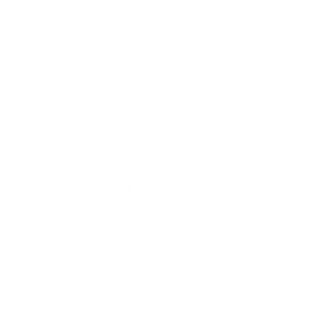 cesif logo