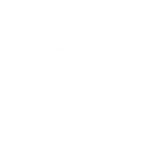 vivoarchitect logo