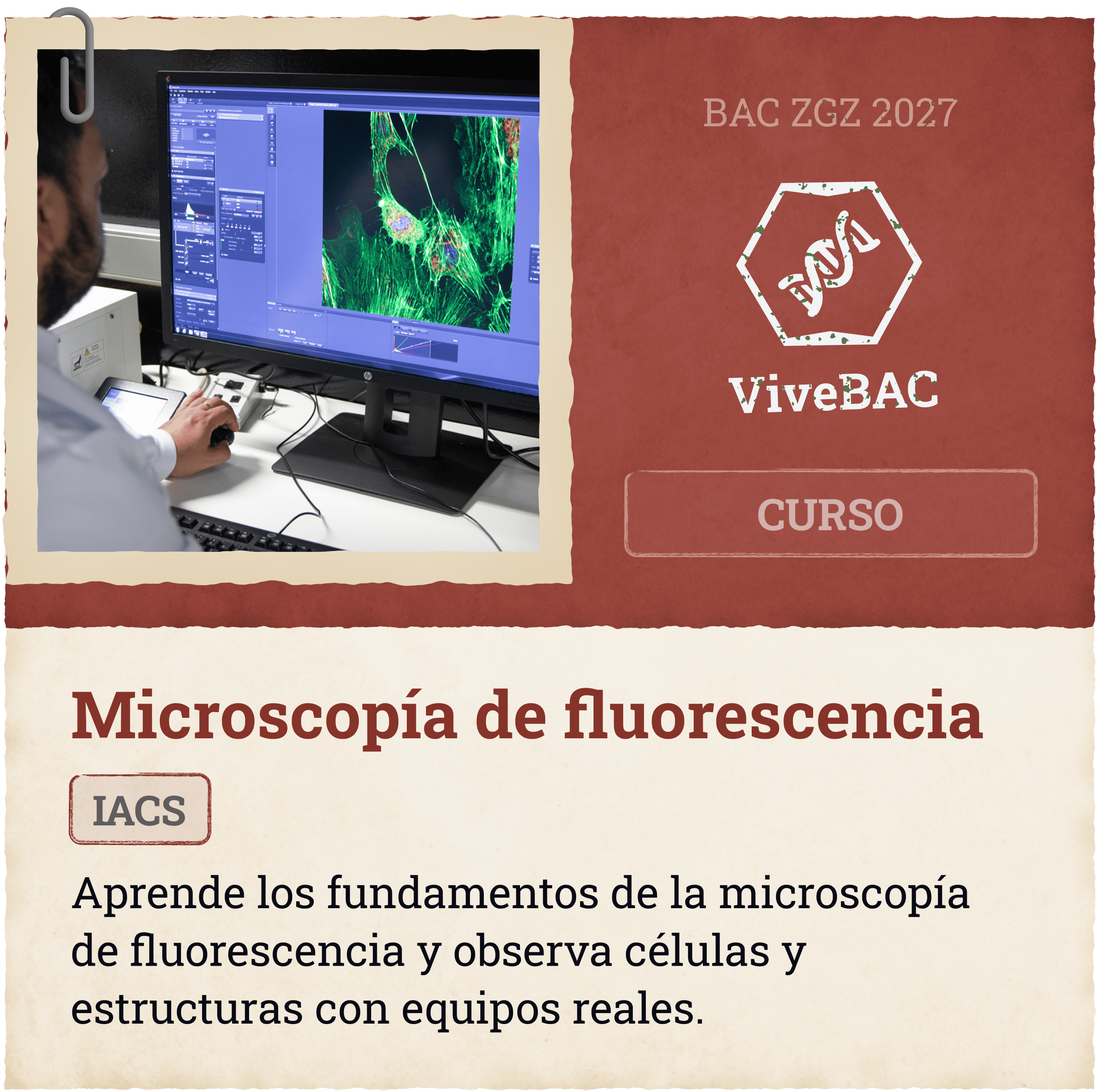 Curso Microscopía de fluorescencia IACS Aprende los fundamentos de la microscopía de fluorescencia y observa células y estructuras con equipos reales.